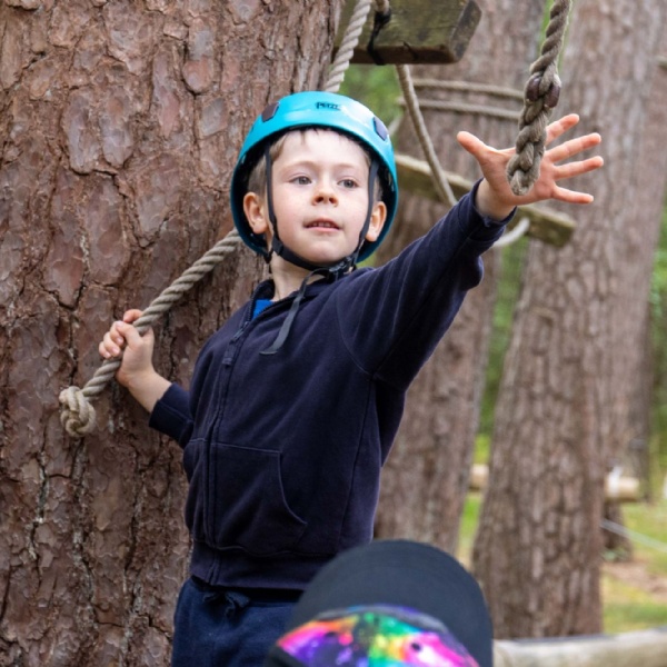 Year 3 New Forest Trip